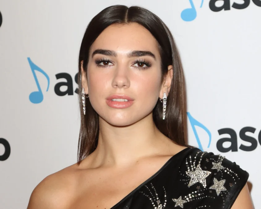 dua lipa net worth