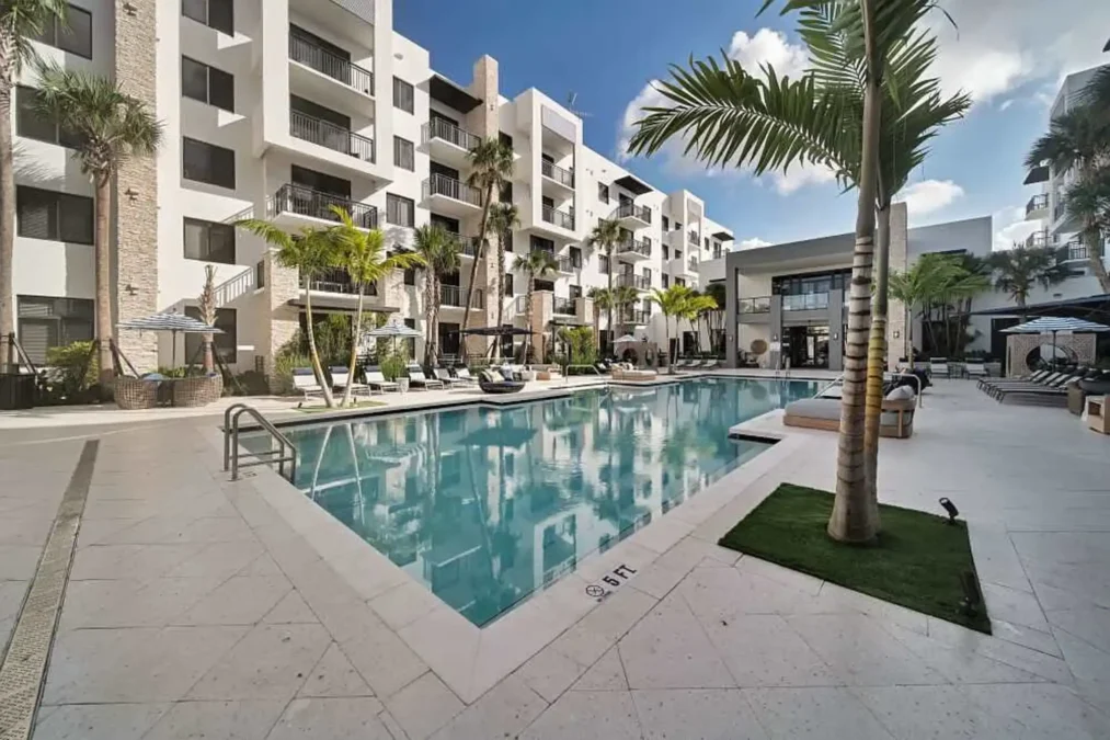 palmera doral